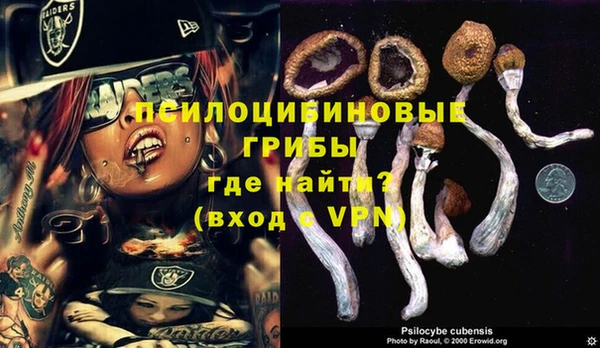 сатива Арсеньев