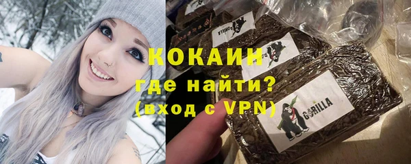 сатива Арсеньев
