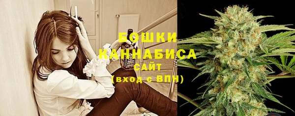 сатива Арсеньев